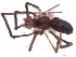  ( - IFM-1668)  @11 [ ] Unspecified (default): All Rights Reserved  Unspecified Unspecified