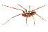  (Pikelinia sp. IFM189 - IFM-2221)  @11 [ ] Unspecified (default): All Rights Reserved  Unspecified Unspecified