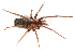  ( - IFM-2223)  @11 [ ] Unspecified (default): All Rights Reserved  Unspecified Unspecified