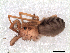  ( - IFM-2289)  @11 [ ] Unspecified (default): All Rights Reserved  Unspecified Unspecified