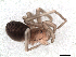  ( - IFM-2291)  @11 [ ] Unspecified (default): All Rights Reserved  Unspecified Unspecified
