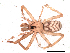  (Pikelinia sp. IFM02 - IFM-2297)  @11 [ ] Unspecified (default): All Rights Reserved  Unspecified Unspecified