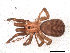  (Pikelinia sp. IFM187 - IFM-2298)  @11 [ ] Unspecified (default): All Rights Reserved  Unspecified Unspecified