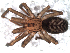  ( - IFM-2312)  @11 [ ] Unspecified (default): All Rights Reserved  Unspecified Unspecified