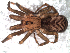  ( - IFM-2313)  @11 [ ] Unspecified (default): All Rights Reserved  Unspecified Unspecified