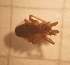  ( - IFM-2495)  @11 [ ] Unspecified (default): All Rights Reserved  Unspecified Unspecified