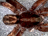  ( - LNP-04264)  @11 [ ] CreativeCommons - Attribution Non-Commercial Share-Alike (2013) Luis N. Piacentini Museo Argentino de Ciencias Naturales