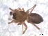  ( - IFM-0502)  @11 [ ] Unspecified (default): All Rights Reserved  Unspecified MACN