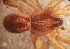  ( - MACN_Ar_36024)  @11 [ ] CreativeCommons  Attribution Non-Commercial Share-Alike (2022) Unspecified Museo Argentino de Ciencias Naturales