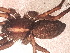  ( - MACN_Ar_43170-1)  @11 [ ] CreativeCommons  Attribution Non-Commercial Share-Alike (2022) Unspecified Museo Argentino de Ciencias Naturales