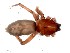  ( - vchGFA-0006)  @11 [ ] CreativeCommons  Attribution Non-Commercial Share-Alike (2015) Unspecified Museo Argentino de Ciencias Naturales