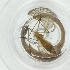  ( - SPGW_011_H4)  @11 [ ] by  Genome Research Ltd as Wellcome Sanger Institute Genome Research Limited operating as Wellcome Sanger Institute