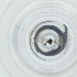  ( - SPGW_012_C4)  @11 [ ] by  Genome Research Ltd as Wellcome Sanger Institute Genome Research Limited operating as Wellcome Sanger Institute