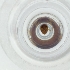  ( - SPGW_023_A12)  @11 [ ] by  Genome Research Ltd as Wellcome Sanger Institute Genome Research Limited operating as Wellcome Sanger Institute