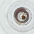  ( - SPGW_024_A9)  @11 [ ] by  Genome Research Ltd as Wellcome Sanger Institute Genome Research Limited operating as Wellcome Sanger Institute