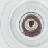  ( - SPGW_024_G7)  @11 [ ] by  Genome Research Ltd as Wellcome Sanger Institute Genome Research Limited operating as Wellcome Sanger Institute