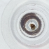  ( - SPGW_024_H8)  @11 [ ] by  Genome Research Ltd as Wellcome Sanger Institute Genome Research Limited operating as Wellcome Sanger Institute