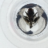  ( - SPGW_025_D11)  @11 [ ] by  Genome Research Ltd as Wellcome Sanger Institute Genome Research Limited operating as Wellcome Sanger Institute