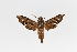  ( - SP9767)  @11 [ ] Unspecified (default): All Rights Reserved  Unspecified Unspecified
