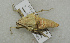  ( - ORTH-002)  @13 [ ] Unspecified (default): All Rights Reserved  Unspecified Unspecified