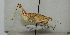  ( - ORTH-006)  @13 [ ] Unspecified (default): All Rights Reserved  Unspecified Unspecified