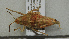  ( - ORTH-007)  @13 [ ] Unspecified (default): All Rights Reserved  Unspecified Unspecified