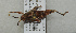  ( - ORTH-010)  @13 [ ] Unspecified (default): All Rights Reserved  Unspecified Unspecified