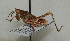  ( - ORTH-010)  @13 [ ] Unspecified (default): All Rights Reserved  Unspecified Unspecified