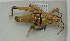  ( - ORTH-107)  @14 [ ] Unspecified (default): All Rights Reserved  Unspecified Unspecified