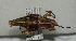  ( - ORTH-114)  @13 [ ] Unspecified (default): All Rights Reserved  Unspecified Unspecified
