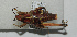  ( - ORTH-117)  @13 [ ] Unspecified (default): All Rights Reserved  Unspecified Unspecified