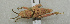  ( - ORTH-012)  @13 [ ] Unspecified (default): All Rights Reserved  Unspecified Unspecified