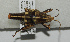  ( - ORTH-129)  @13 [ ] Unspecified (default): All Rights Reserved  Unspecified Unspecified