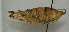  ( - ORTH-137)  @14 [ ] Unspecified (default): All Rights Reserved  Unspecified Unspecified