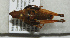  ( - ORTH-139)  @13 [ ] Unspecified (default): All Rights Reserved  Unspecified Unspecified