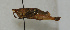  ( - ORTH-139)  @13 [ ] Unspecified (default): All Rights Reserved  Unspecified Unspecified