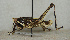 ( - ORTH-014)  @13 [ ] Unspecified (default): All Rights Reserved  Unspecified Unspecified