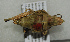  ( - ORTH-144)  @13 [ ] Unspecified (default): All Rights Reserved  Unspecified Unspecified