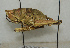  ( - ORTH-144)  @14 [ ] Unspecified (default): All Rights Reserved  Unspecified Unspecified