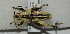  ( - ORTH-015)  @13 [ ] Unspecified (default): All Rights Reserved  Unspecified Unspecified