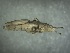  ( - ORTH-154)  @11 [ ] Unspecified (default): All Rights Reserved  Unspecified Unspecified
