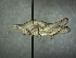  ( - ORTH-154)  @11 [ ] Unspecified (default): All Rights Reserved  Unspecified Unspecified