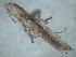  ( - ORTH-172)  @11 [ ] Unspecified (default): All Rights Reserved  Unspecified Unspecified