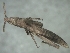  ( - ORTH-175)  @11 [ ] Unspecified (default): All Rights Reserved  Unspecified Unspecified