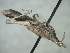  ( - ORTH-175)  @11 [ ] Unspecified (default): All Rights Reserved  Unspecified Unspecified