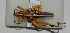  ( - ORTH-182)  @13 [ ] Unspecified (default): All Rights Reserved  Unspecified Unspecified