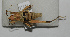 ( - ORTH-056)  @14 [ ] Unspecified (default): All Rights Reserved  Unspecified Unspecified
