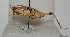  ( - ORTH-056)  @14 [ ] Unspecified (default): All Rights Reserved  Unspecified Unspecified