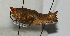  ( - ORTH-057)  @14 [ ] Unspecified (default): All Rights Reserved  Unspecified Unspecified
