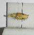  ( - ORTH-090)  @13 [ ] Unspecified (default): All Rights Reserved  Unspecified Unspecified